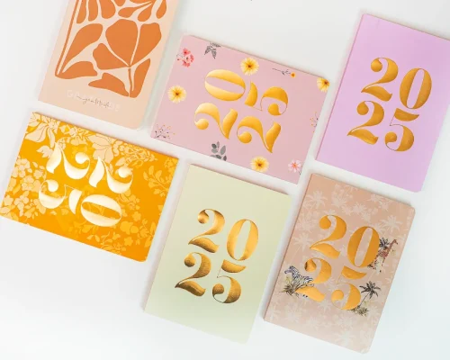 2025 Mini Journal